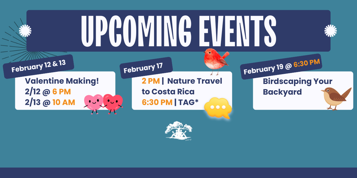 Upcoming Events -- February 12 & 13 valentine making, February 17 2 PMNature Travel to Costa Rica and 6:30 PM TAG, February 19 @ 6:30 PM Birdscaping your backyard 