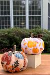 Photo of burlap pumpkin craft in front of the library